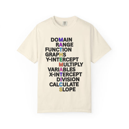 Mathematics Comfort Colors T-Shirt